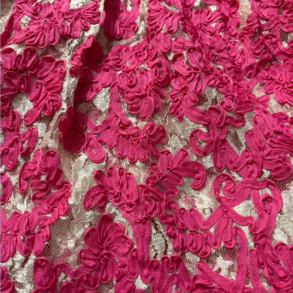 Yoana Baraschi Anthropology Fit and Flare Dress. Mesh with Pink Ribbon Overlay. - Picture 9 of 16